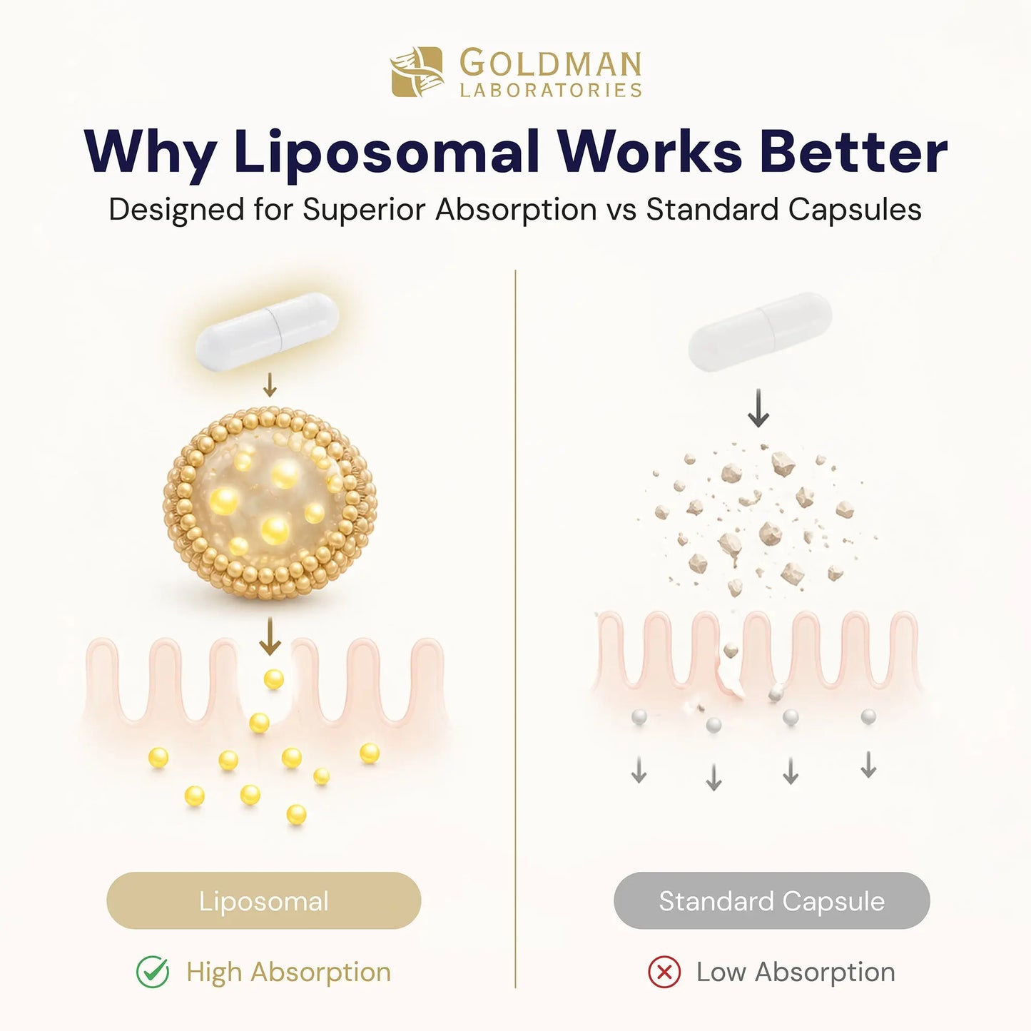 Optimcell® Liposomal Glutathione - 60 Caps Goldman Labs