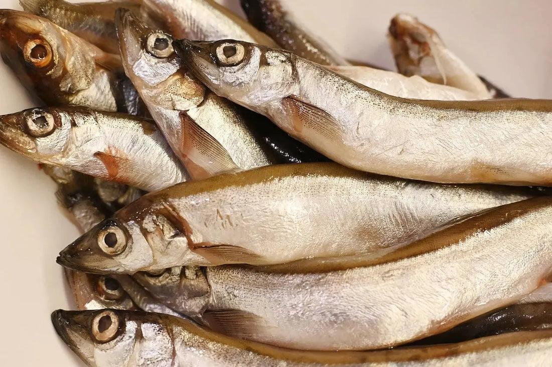 Why Marine Collagen Supplements Aren’t for Everyone: Exploring Alternatives That Work Goldman Laboratories
