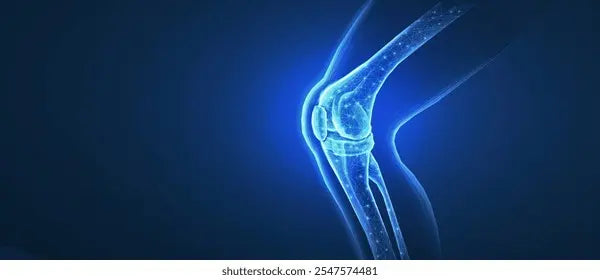 Collagen for Joints: Can It Really Help With Joint Pain?