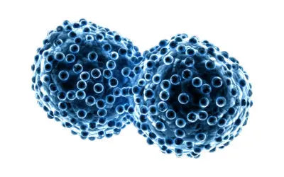 Cancer cells