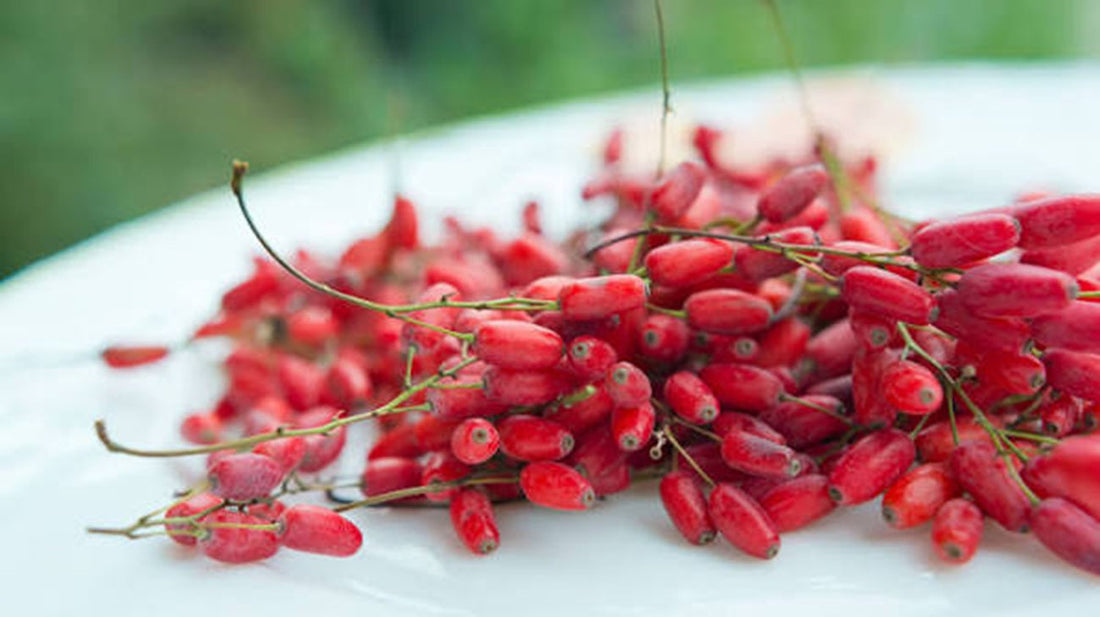 Berberine: The Natural Alternative to Metformin for Over 55s