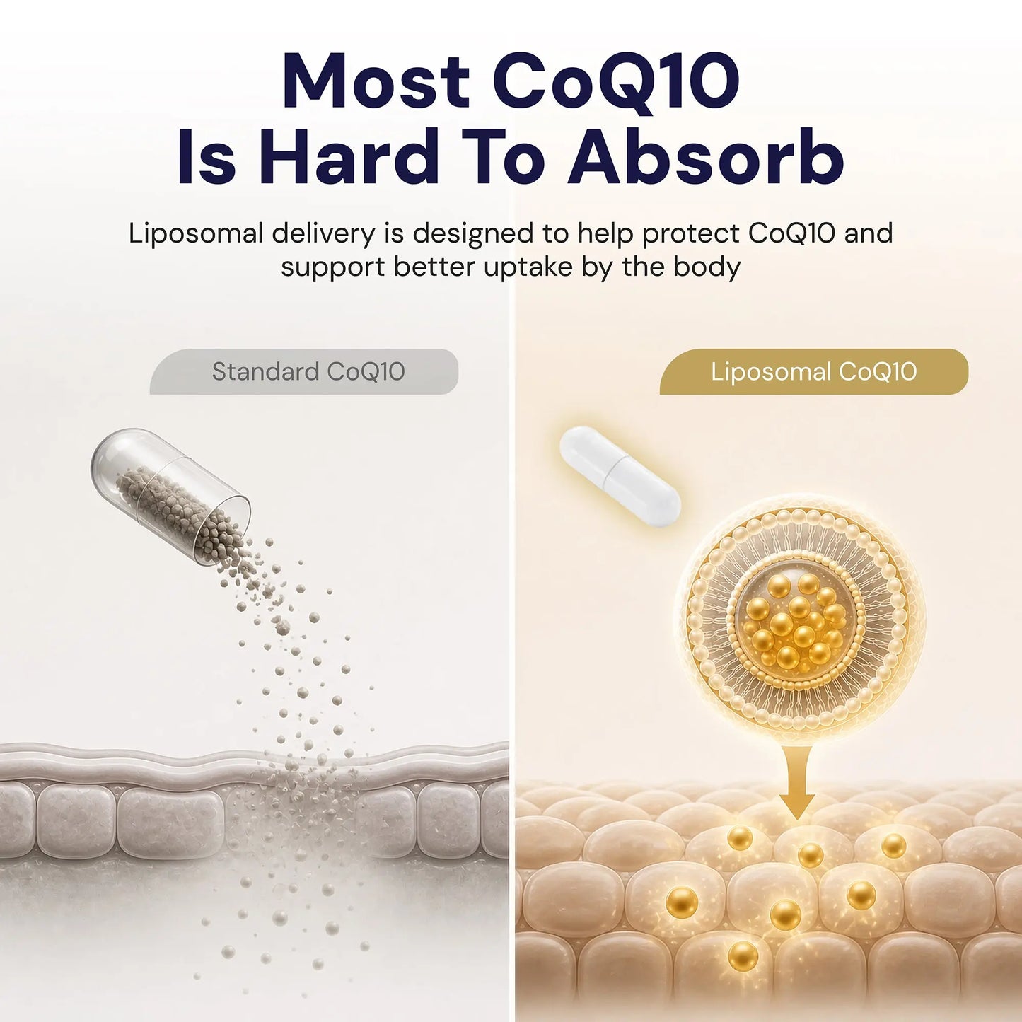 Optimcell® Liposomal CoQ10 - 30 Caps Goldman Labs