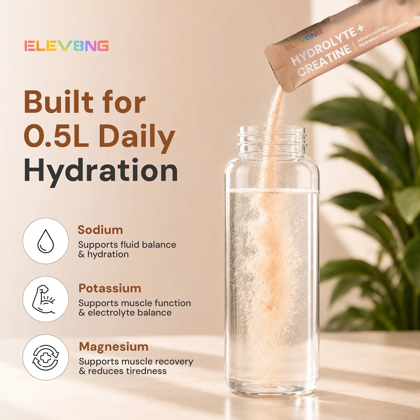 ELEV8NG Hydrolyte + Creatine – Coconut Hydration Drink Mix (10 Sachets) 5g Micronised Creatine + Electrolytes + Prebiotic Fibre + Vitamin C Goldman Laboratories