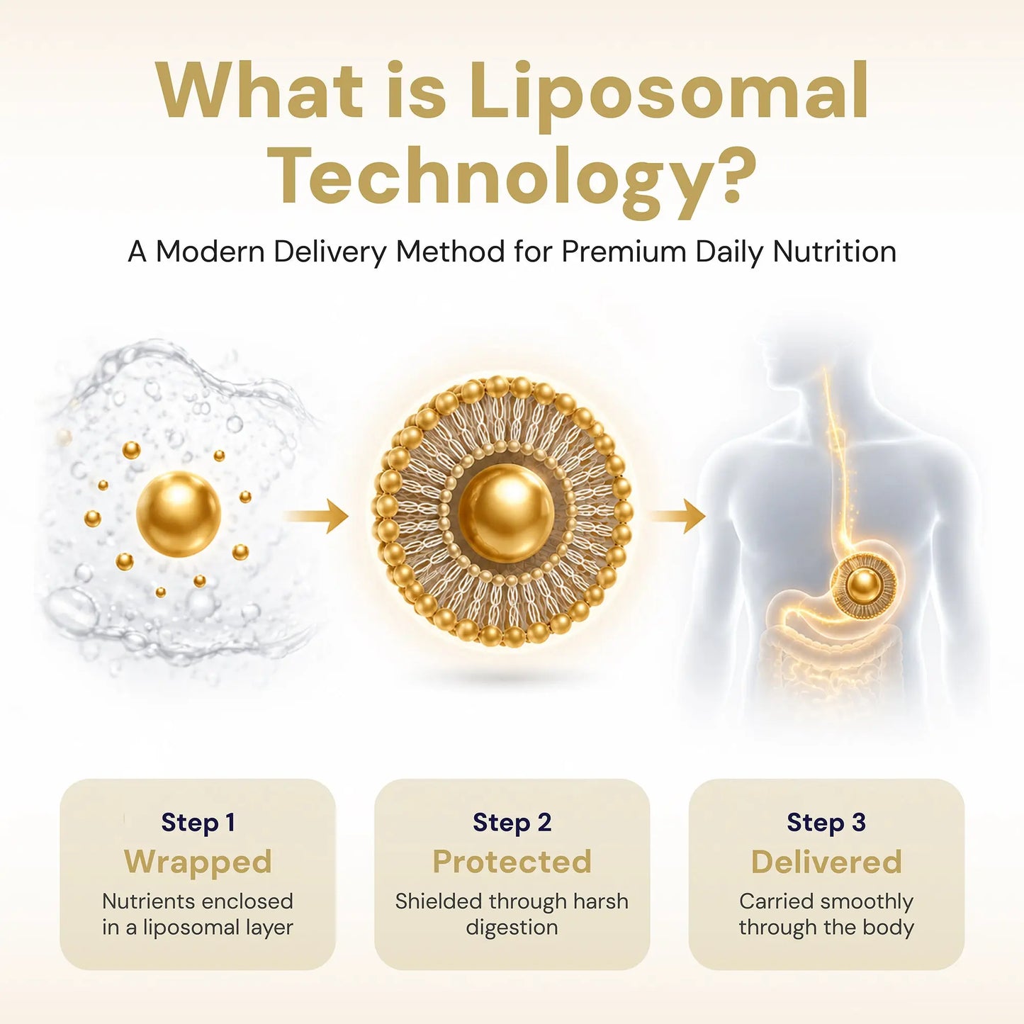 Optimcell® Liposomal Mutivitamins – 30 Caps Goldman Labs