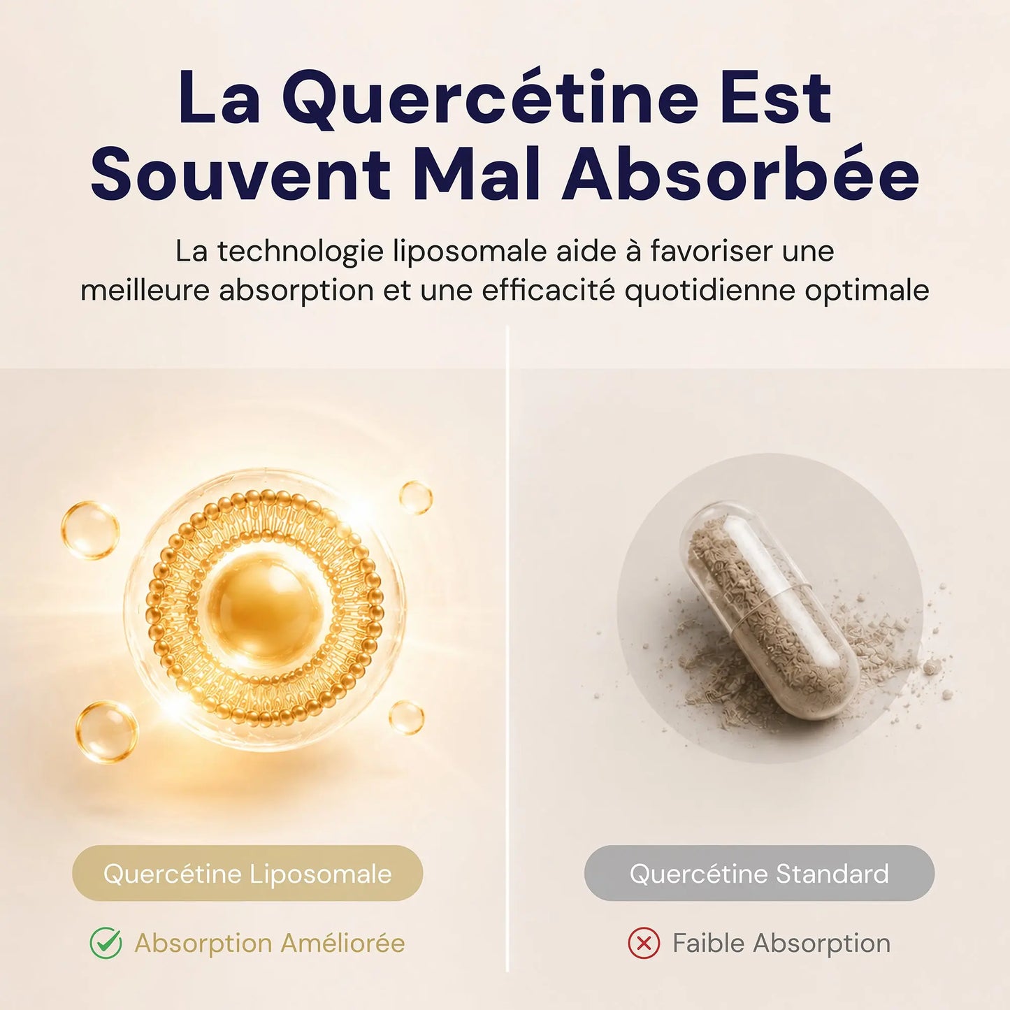 Optimcell® Liposomal Quercetin – 30 Caps Goldman Labs