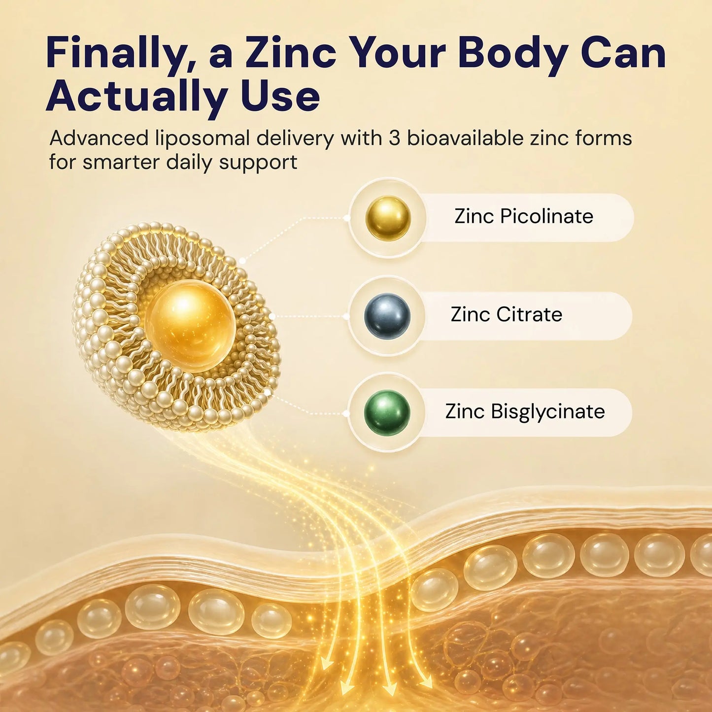 Optimcell® Liposomal Zinc Complex - 30 Caps Goldman Labs