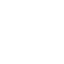  Circulation sanguine