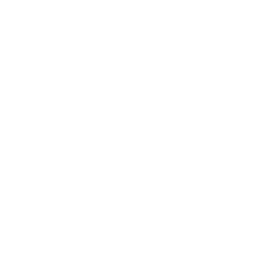 Rajeunissement